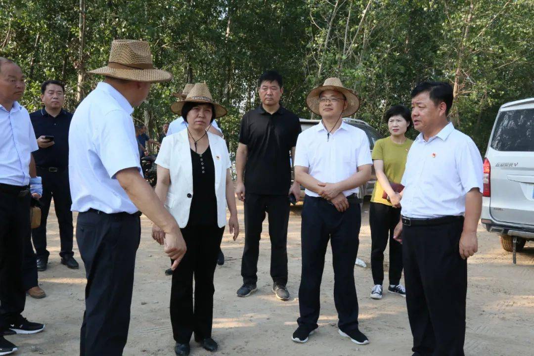 7月30日,市委常委,市纪委书记,市监委主任张桂英在市纪委副书记,市监