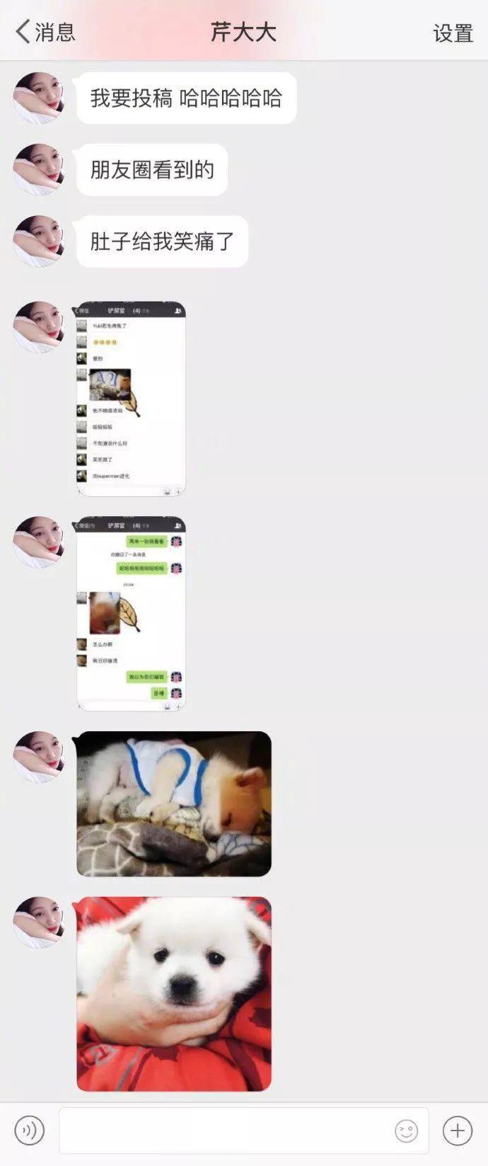 萌图|网友家的小白狗烤火睡觉，没想到醒来之后竟然变成了柯基！！