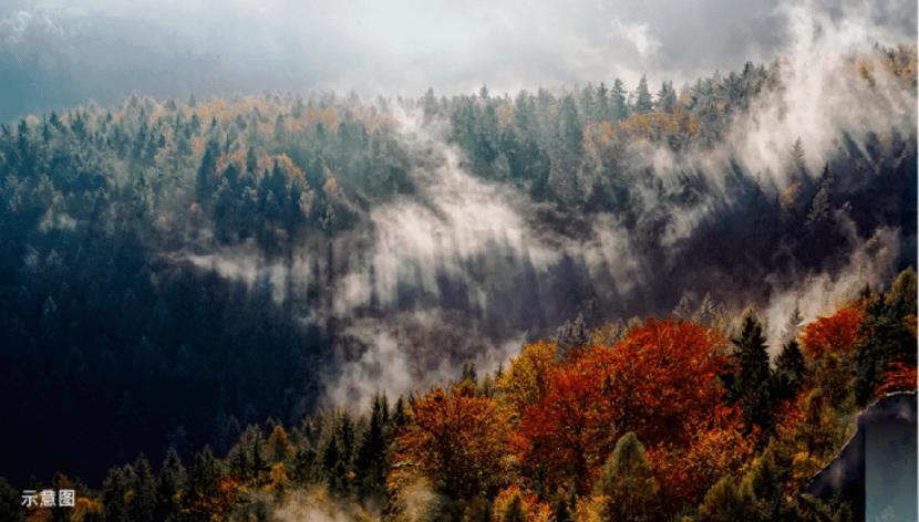 6807efaff6c446d0885a676b869f789e.png
