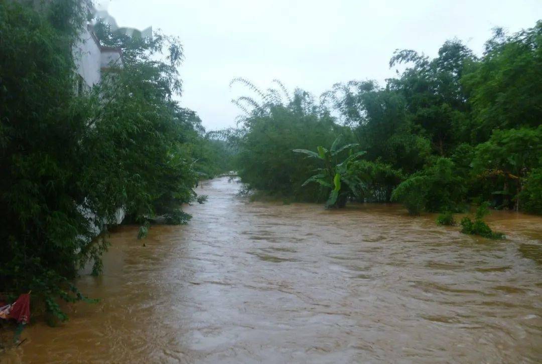 河南洪灾有感外一首王芝娥