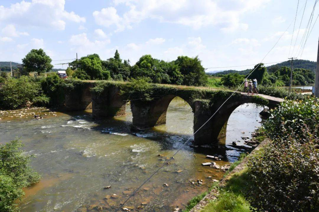 这个村,可以说是金溪风水最好的地方,如今.