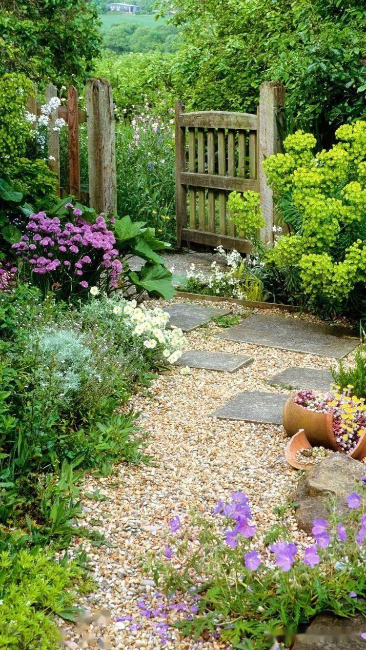 新浪微博id:行行之沙园艺 | 苔藓|微景观 | 传统文化| 庭院情怀| 视觉