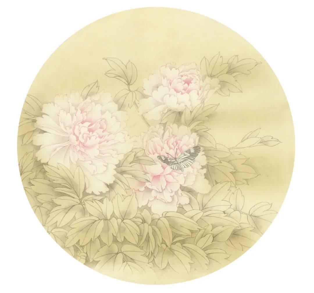 图文教程郑玲玲工笔牡丹春分蝴蝶梦花间绘制步骤教程