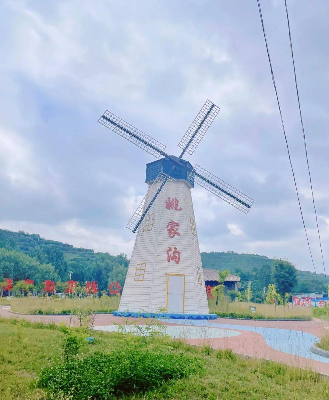 高新区磻溪镇张家塬村陕西省宝鸡市陈仓区徜徉花海中,与大自然融为