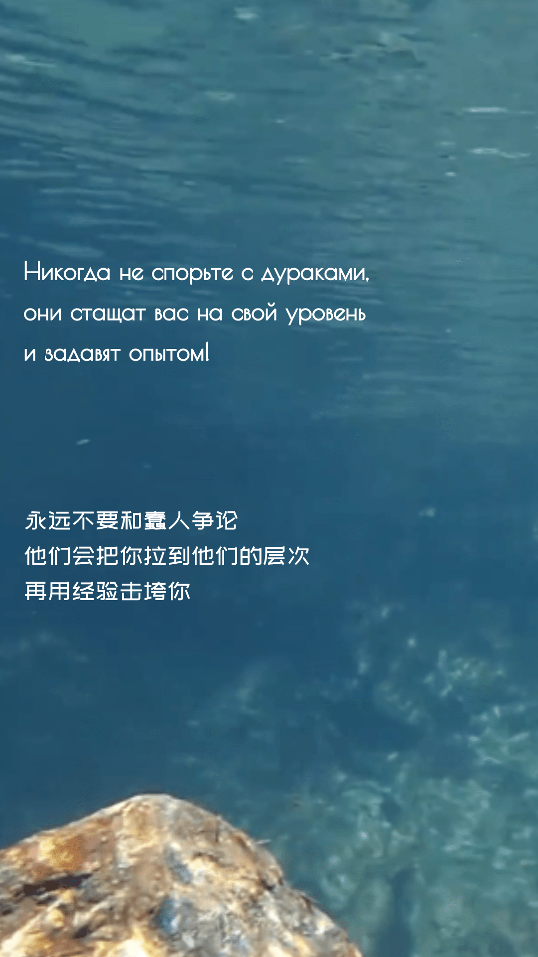 икогда не спорьте с дураками,与他们争论