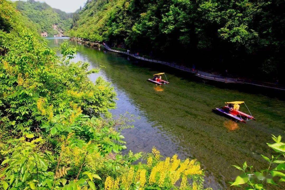 石泉縣丨涼心推薦這麼多避暑勝地還不來麼