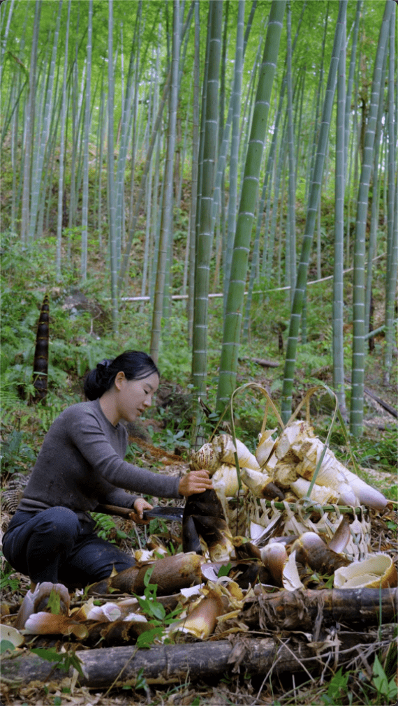 土生网红乡愁武夷风物唤醒乡土田园梦
