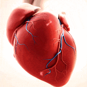 297_297gif 动态图 动图