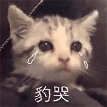 名字|丁程鑫张真源“开”出了宋亚轩刘耀文