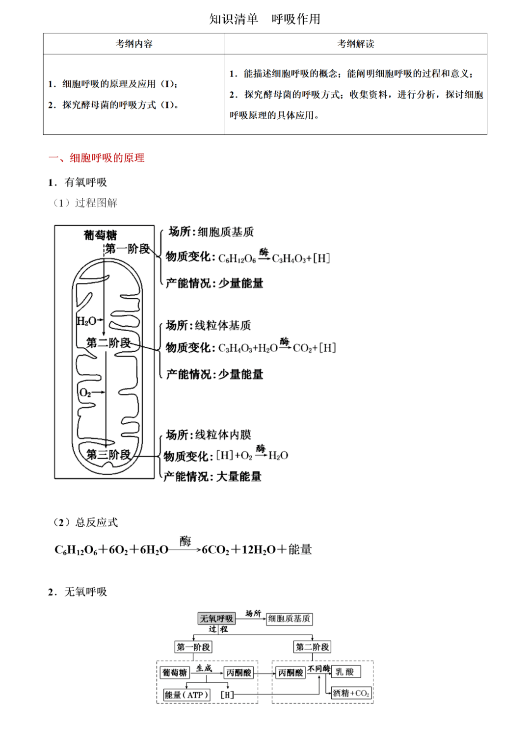 【生物】呼吸作用