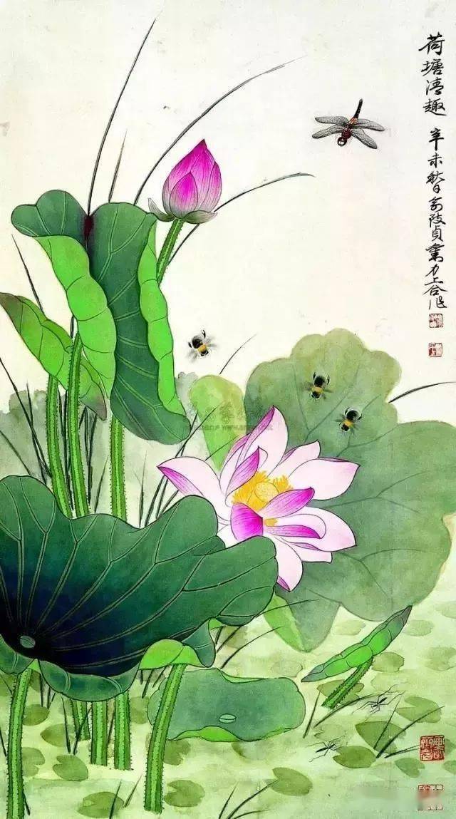 俞致贞画荷