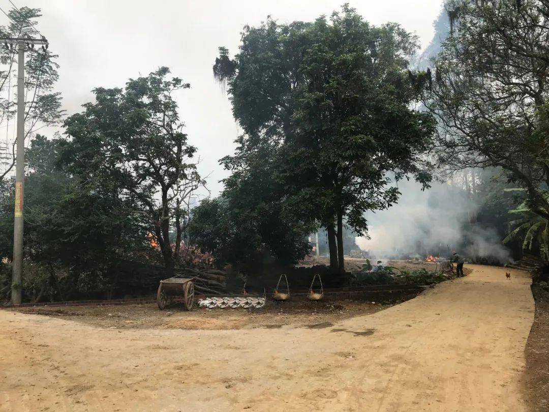 廣西崇左市江州區江州鎮保安村曾經是一個自治區級貧困村,短短几年