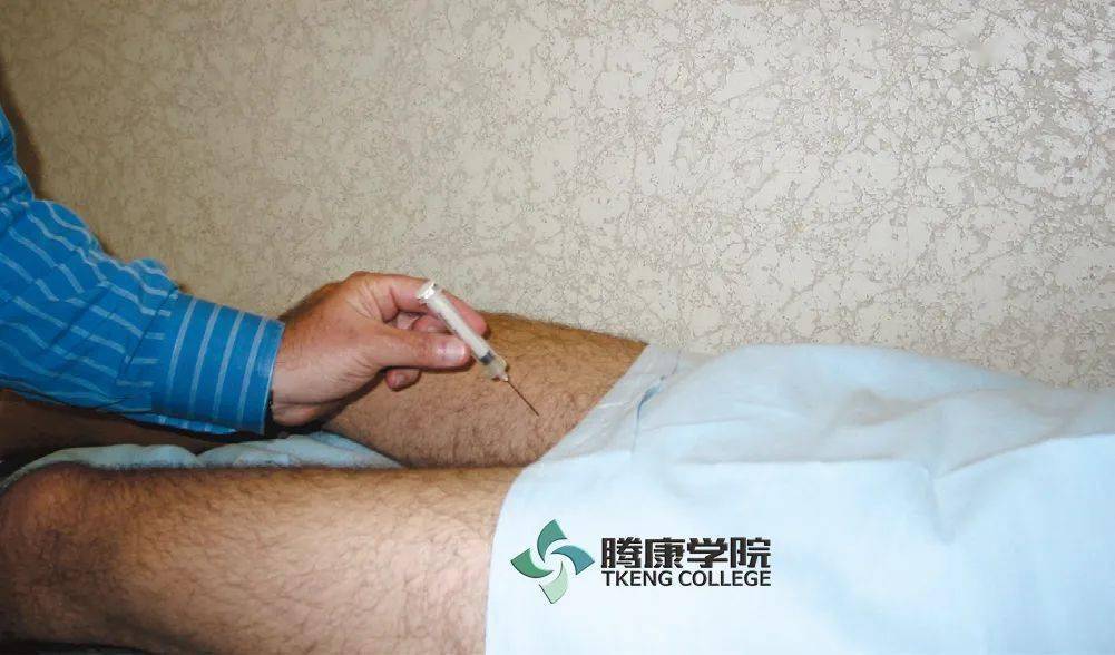 疼痛解剖学|闭孔神经卡压综合征:大腿内侧麻木征