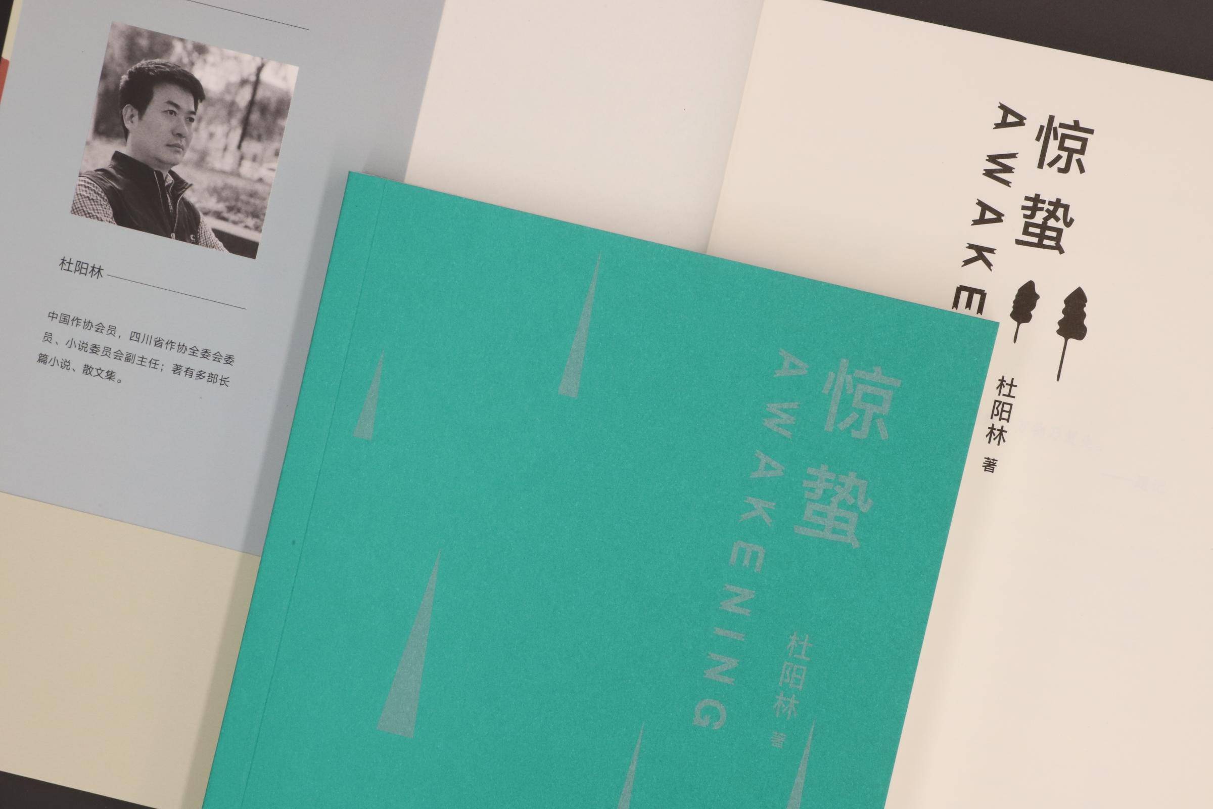 文学|乡村少年的苦难经历与惊蛰之醒：杜阳林新作《惊蛰》出版