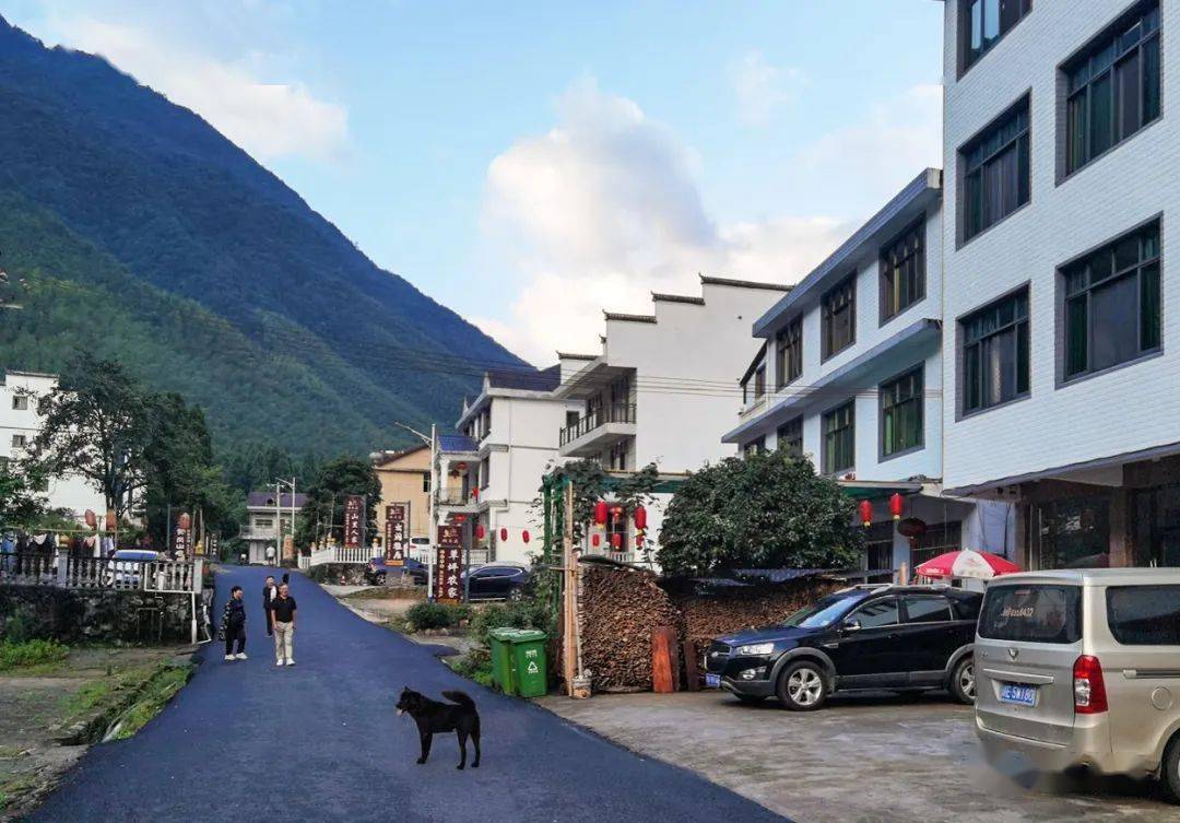这里地处中国东南第一峰黄岗山下,属于江西武夷山国家级自然保护区