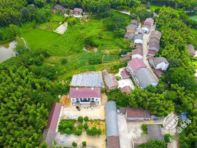 赤壁:革命苏区风景好,谁不赞美枫桥村_车埠镇