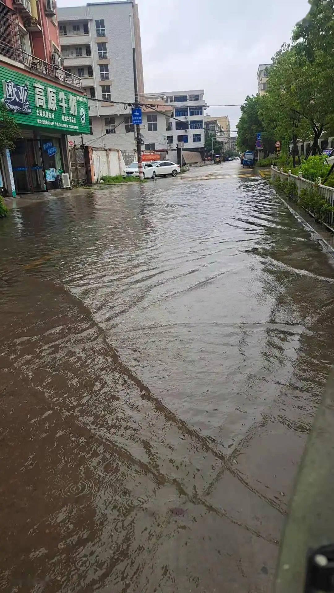 站后路新鳌高中前路段邮电路400号前段昆鳌大道瑞成珠光前鞋城b区车站