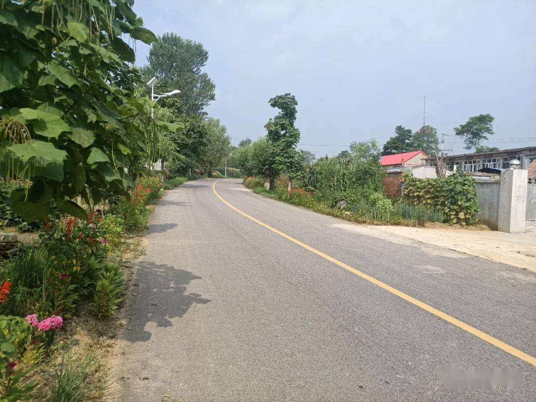 建美丽庭院助乡村振兴晒晒我的小院子⑩黑岛镇