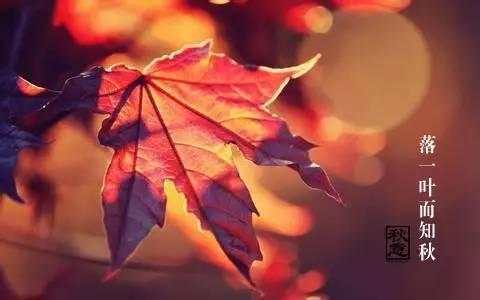 节气|立秋是几月几号2021年几点立秋！2021年立秋具体时间 立秋后还热吗立秋吃什么立秋贴秋膘