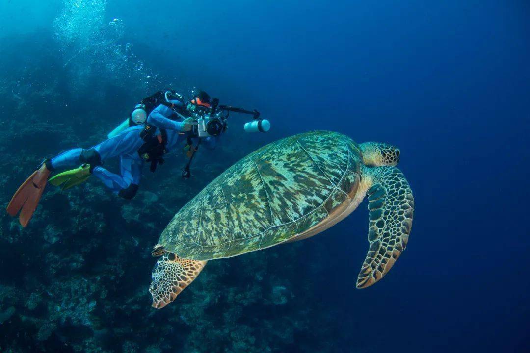 点燃|肩负蓝色使命 点燃新的希望