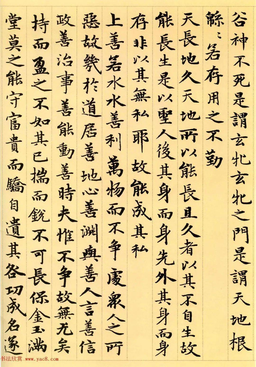 赵孟頫63岁小楷老子道德经