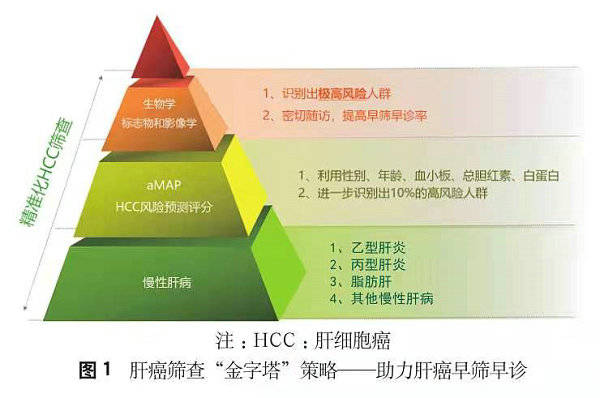 如何早点发现肝癌 专家推荐 金字塔 策略筛查 患者