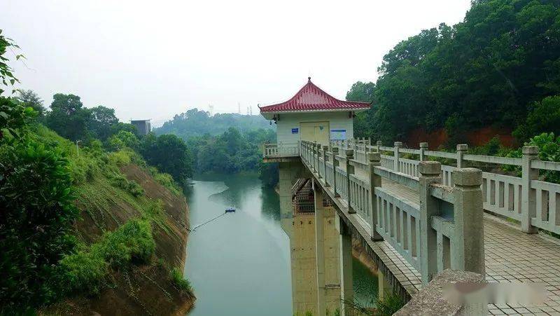 深圳立秋雨中大雁山鵝頸水庫穿越本文內容空洞枯燥乏味千萬別點進來