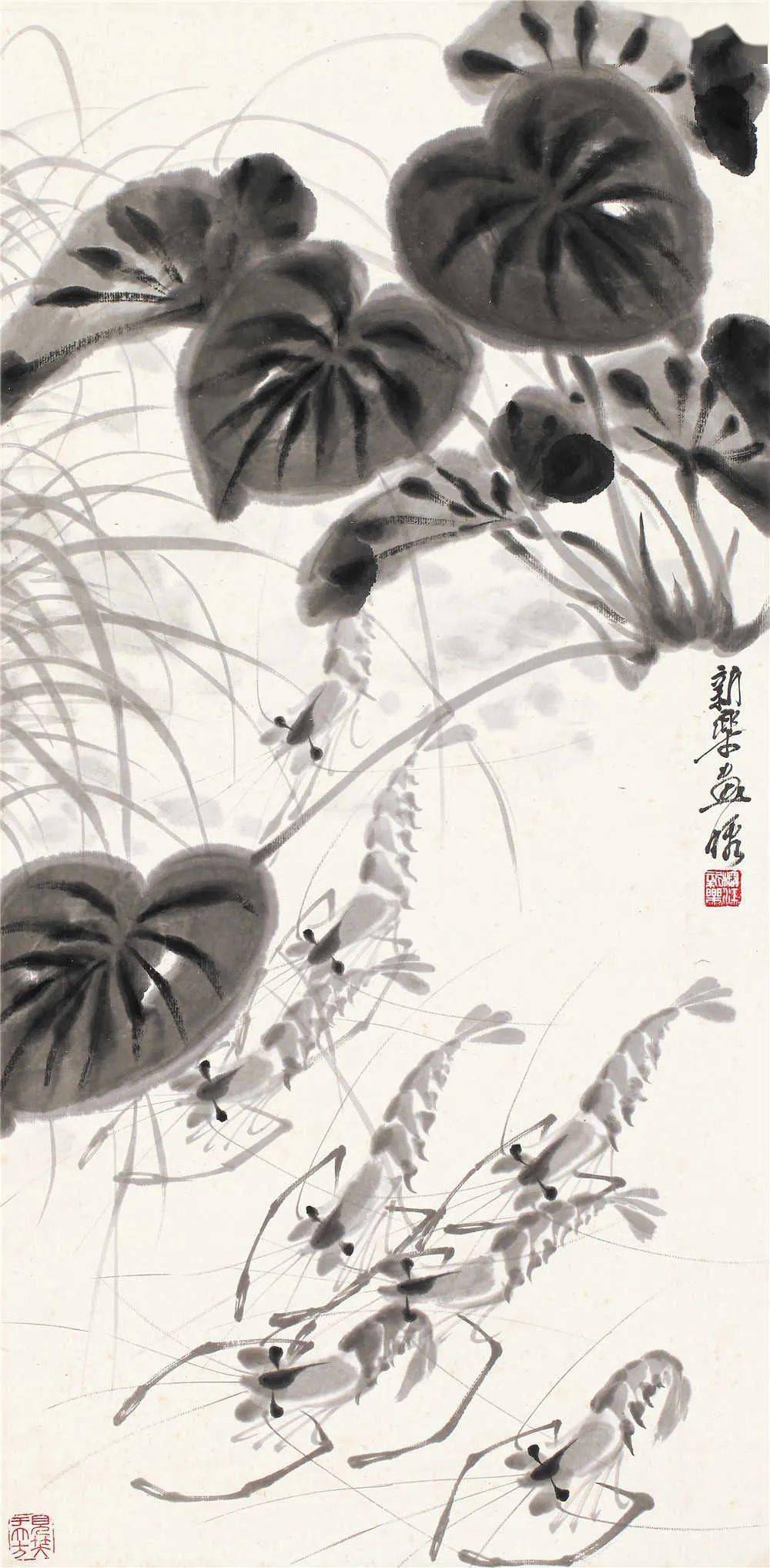 王兰若鳞甲水族称绝于世真是天然神妙