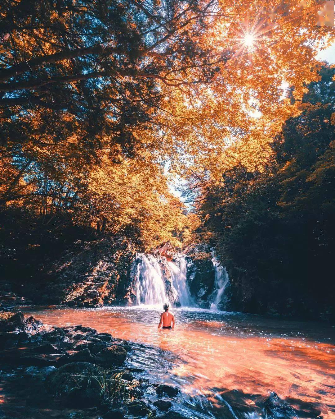 如何拍出色彩浓郁独特的照片这7个技巧很重要