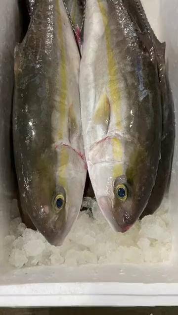 台海章红到货有没有喜欢的朋友