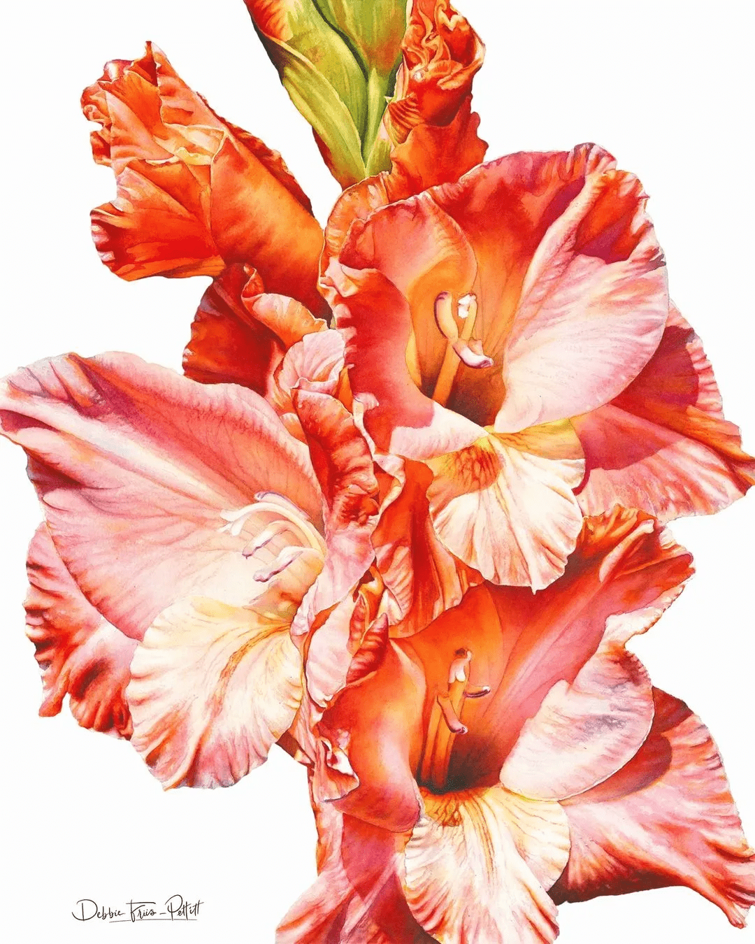 她55岁才开始画水彩,从无名小卒到水彩大师,作品美翻无数网友_debbie