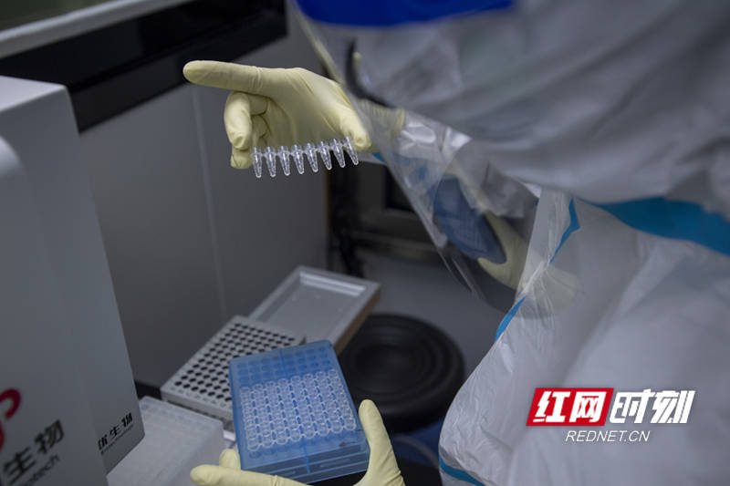 检测|疾控福尔摩斯｜就好像“在地球上找乒乓球”，长沙圣斗士核酸检测“超精密”