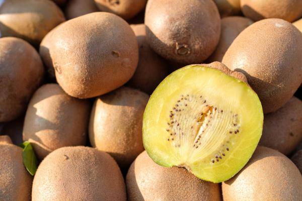 吉祥|立秋后这5种“福果”记得要多吃，吃出营养美味，咬出健康好福气