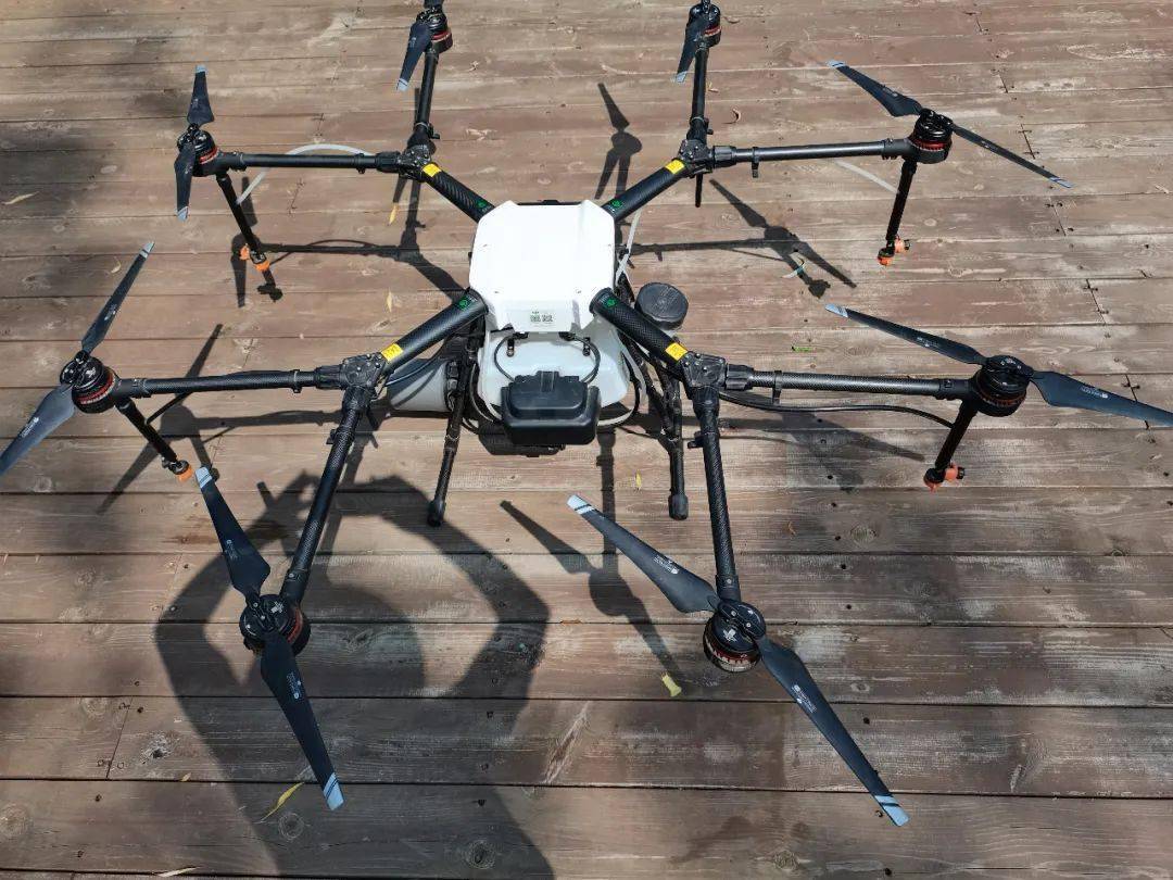 厉害了!用无人机释放天敌昆虫,防治水稻虫害