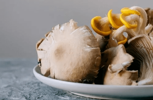 氨基酸|菌菇被列为入“人类最佳饮食结构”，增肌、抗癌、护心脑！这样吃，让你吃出好体魄~