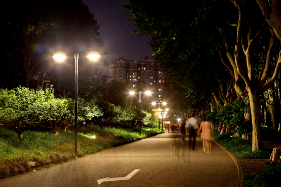 新蕾公园夜景图片