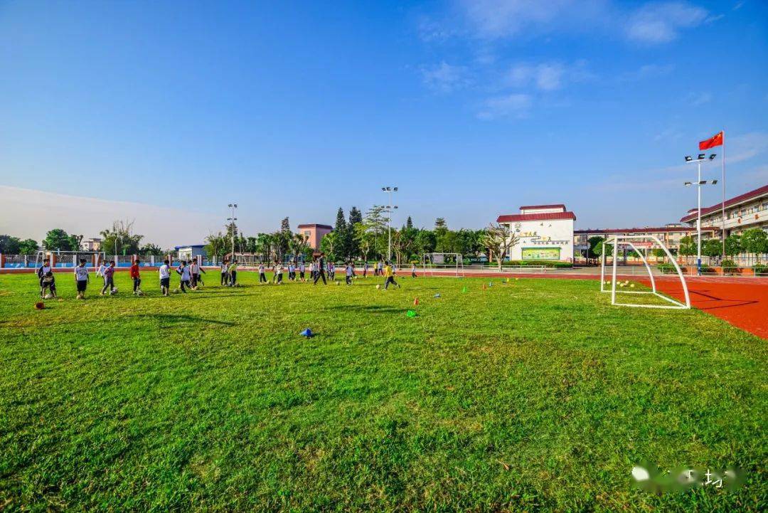 【喜讯】均安镇南沙小学获评广东省"绿色学校"
