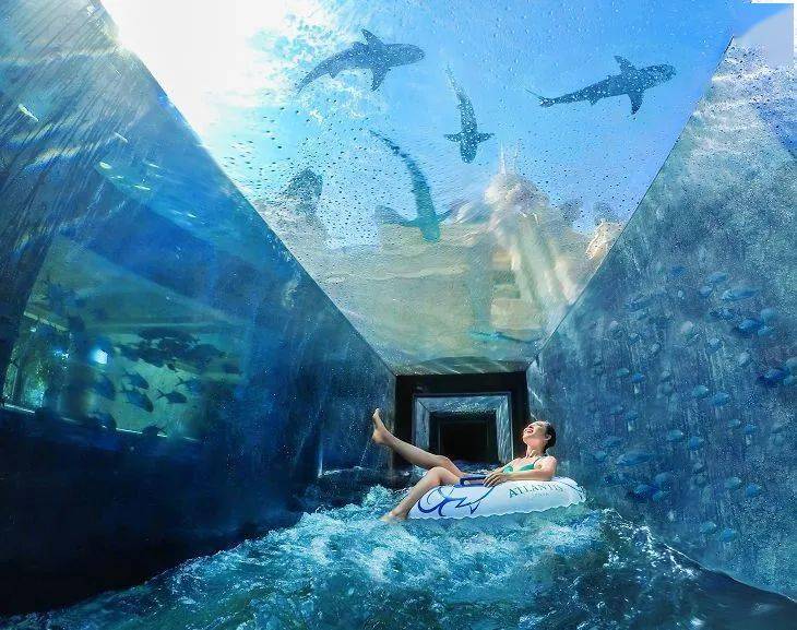 岛民专享三亚亚特兰蒂斯海景房赠水世界水族馆门票自助早餐仅061688
