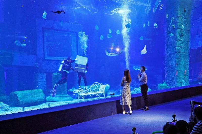七夕将至，情侣在广州景区上演浪漫海底求婚