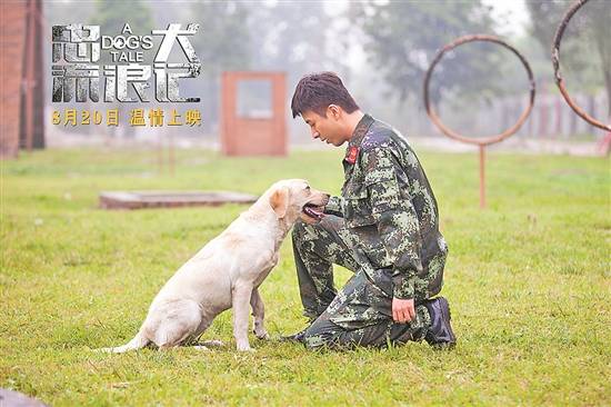 电影|低谷中期待复苏 2021暑期档变阵