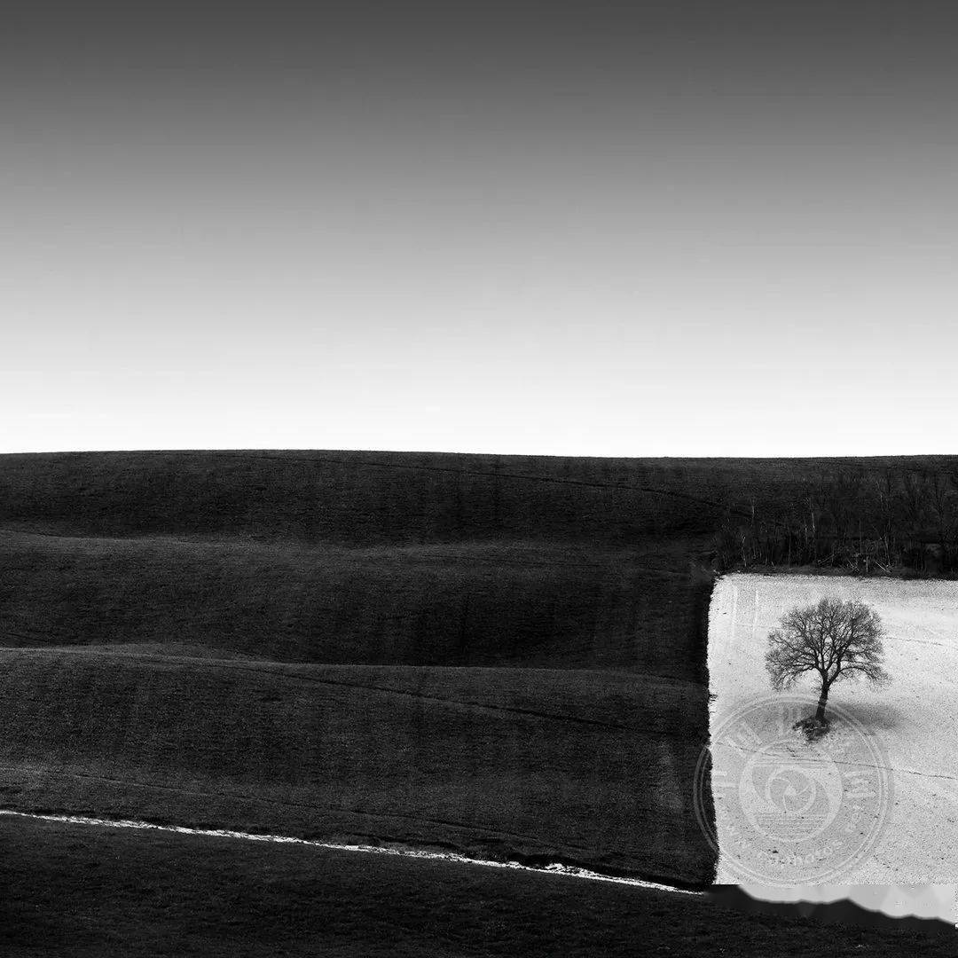 作品|获奖公布 | 2021第三届极简主义摄影奖（年度摄影师）作品揭晓