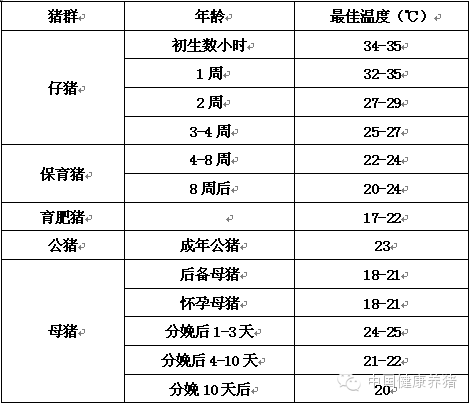 母猪体温测量多久_母猪量体温要多长时间_母猪量体温量多长时间