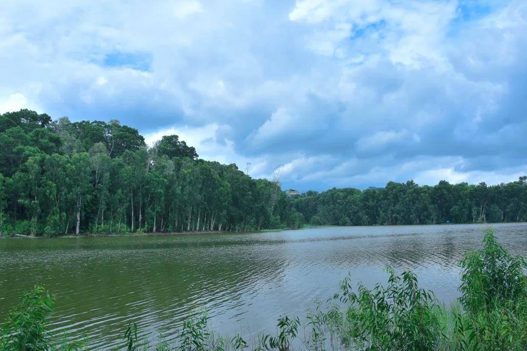 号线观澜湖站,观澜文化小镇将石马径,长坑水库纳入牛湖水碧道建设项目