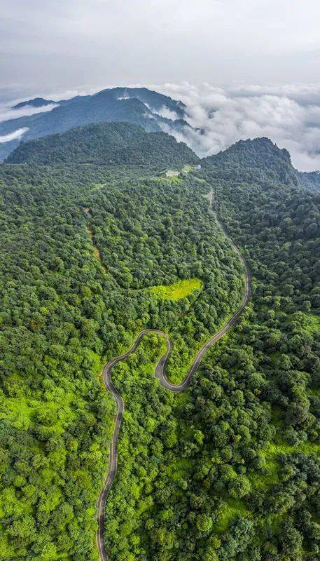 音乐作品小草坝已发布献给昭通彝良的最新力作廖仕伟作曲周冰倩演唱