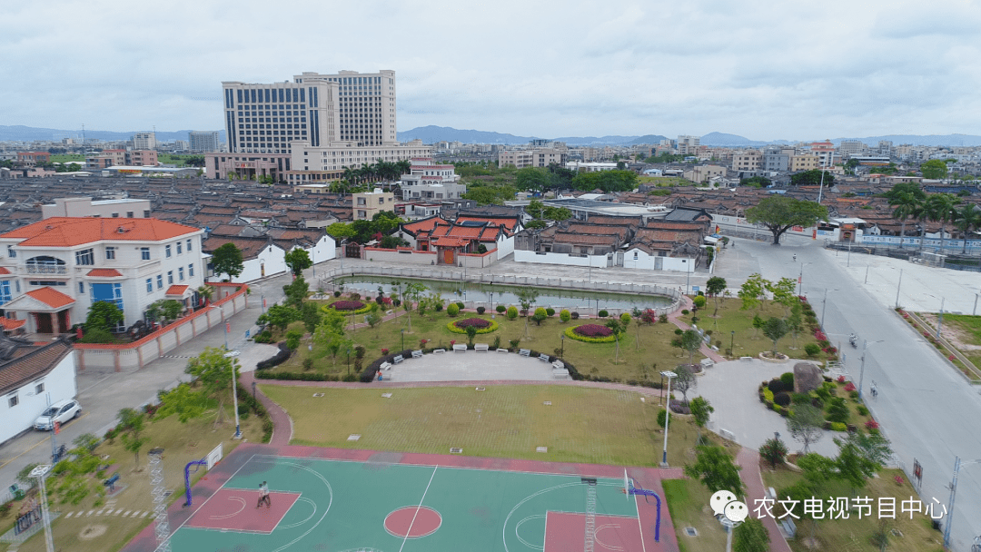 快来围观陇田镇上央视啦