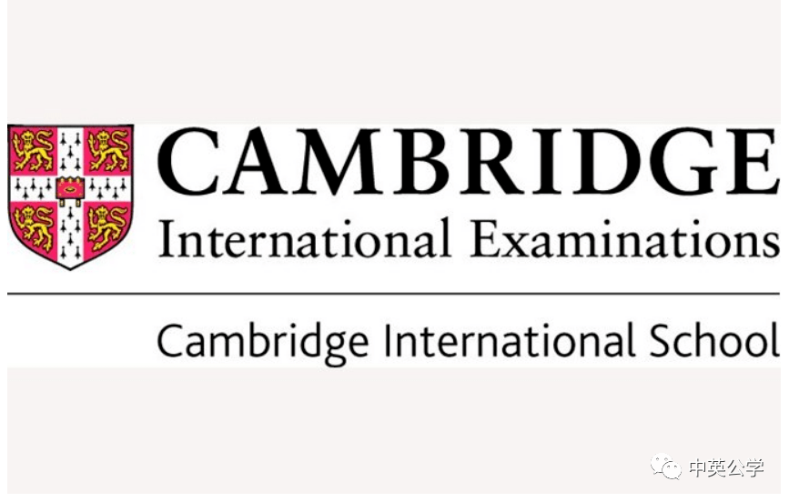 igcse国际考一鸣惊人高分雨震撼来袭
