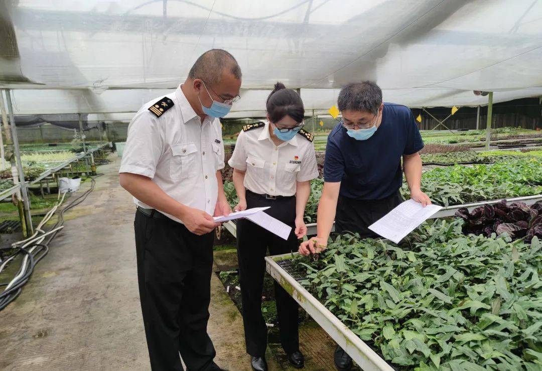 动植物检疫送你一朵小红花