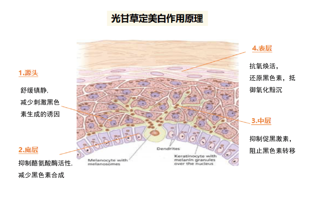 一手|陈坤一手捧红的“女魔头”，如今半个娱乐圈都怕跟她合照...