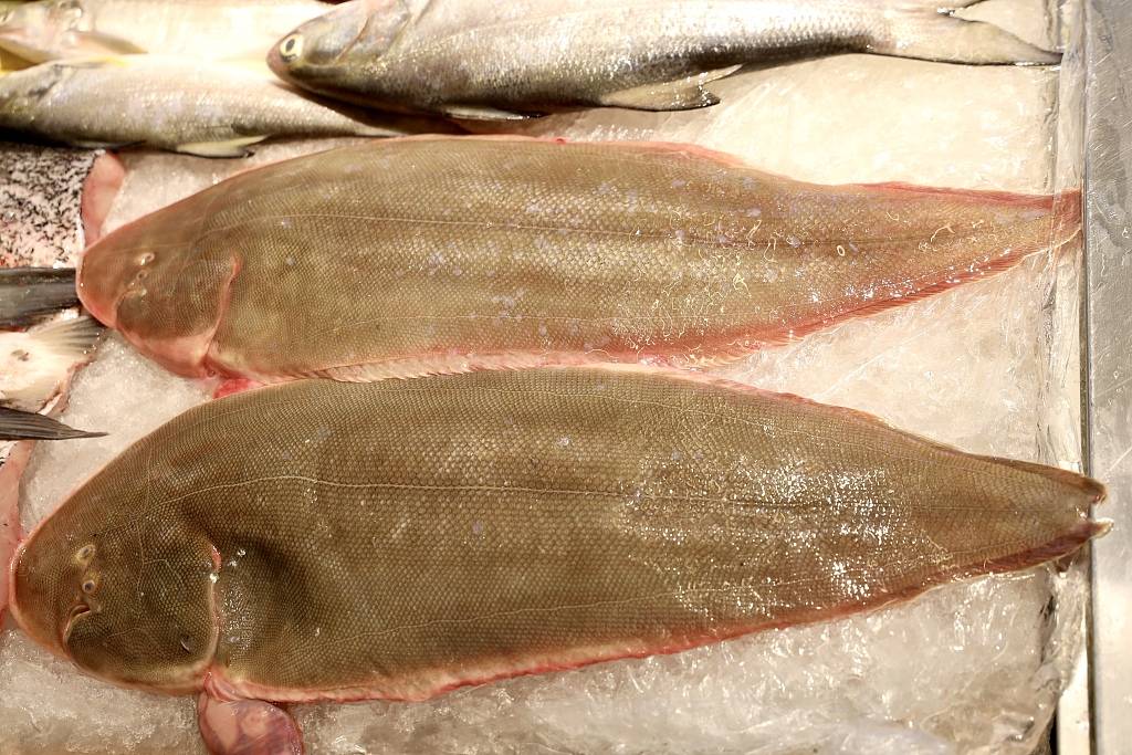 香港进口鱼发现新冠病毒 专家:感染风险低于人传人