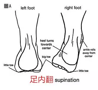 b8223f19f87e419e88c4bfeabc720d87.png